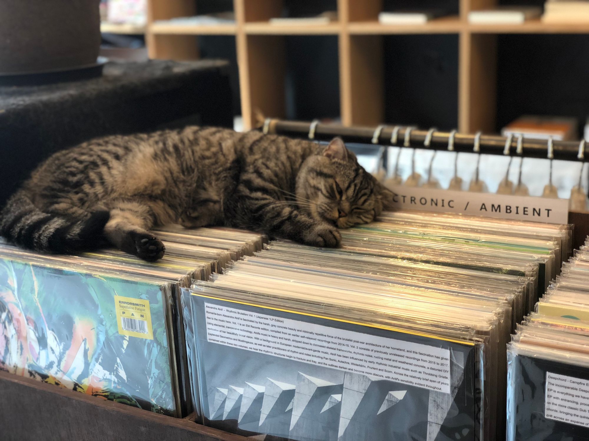 Chillum.club - Latest news